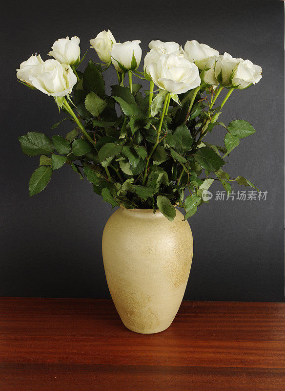 黑色背景下的花瓶里的白玫瑰