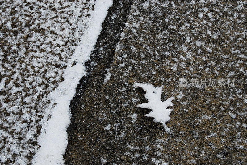 雪覆盖了叶