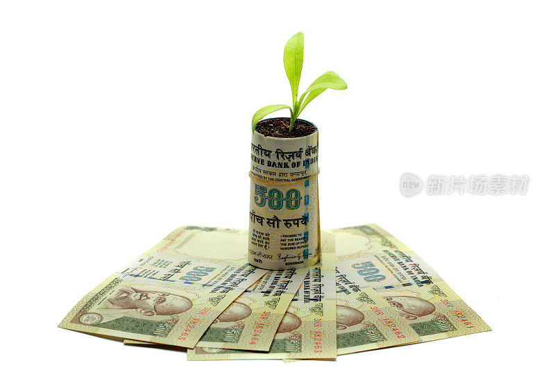 印度货币和绿色植物