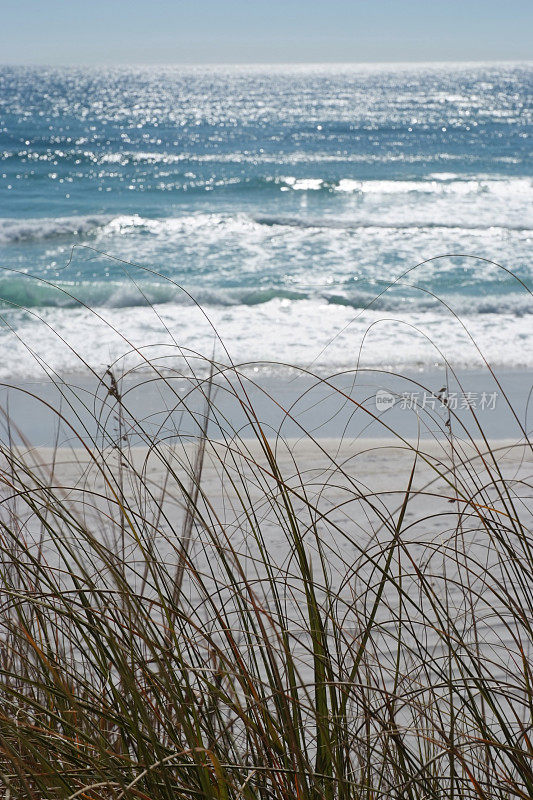 佛罗里达海滩草和美丽的蓝色海湾水域