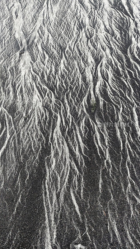 太平洋西北，华盛顿，低潮沙模式背景