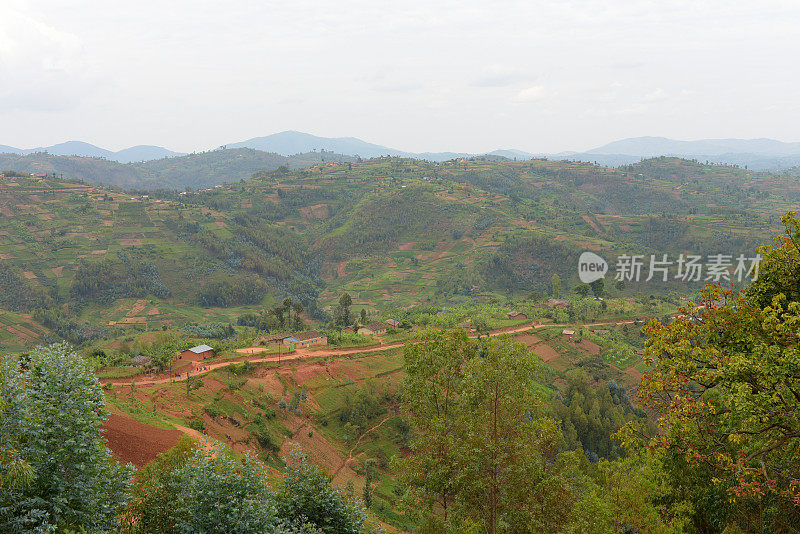 卢旺达基贝霍地区的农村