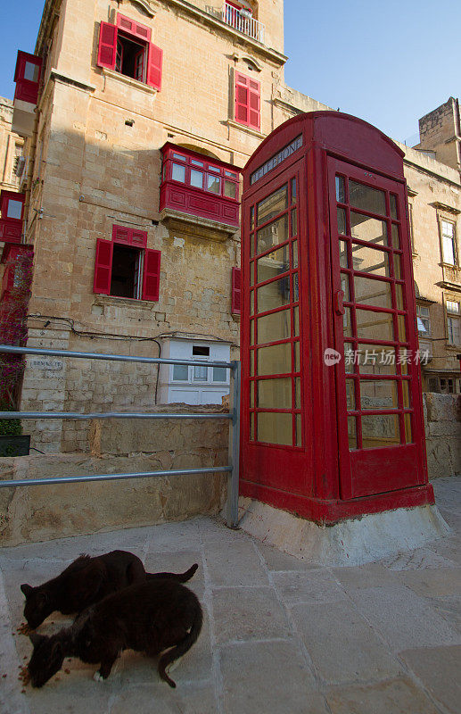 马耳他瓦莱塔:传统的红色电话亭和喂猫