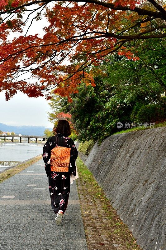 穿着和服的日本妇女沿着京都的加茂河行走