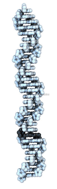 带有癌症突变的DNA分子