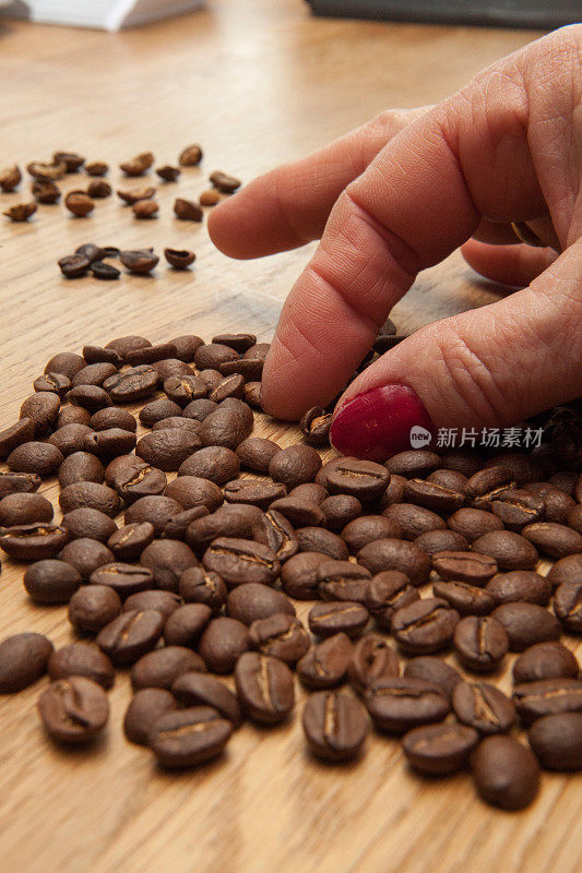 排序咖啡豆