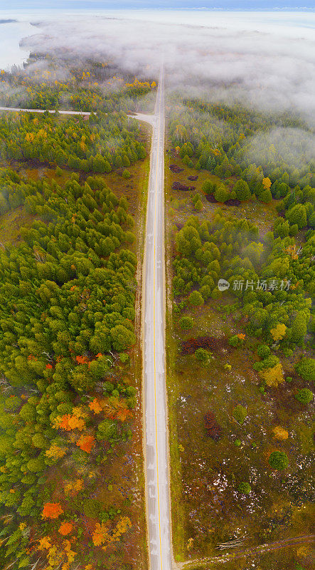 全景式的道路通过森林的惊人的秋天颜色
