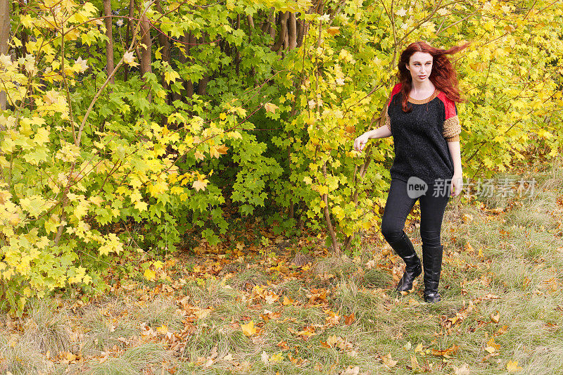红头发的英国秋日户外女孩对着黄色山毛榉树叶