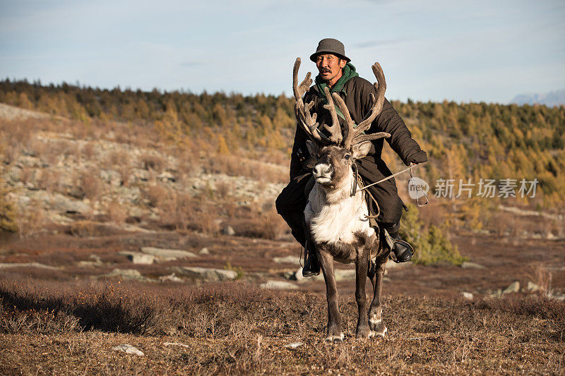 骑着驯鹿的蒙古老人。