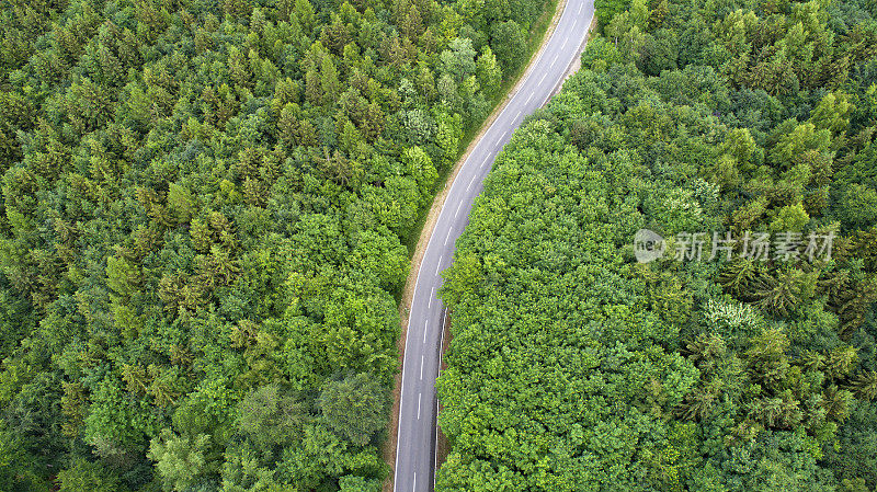 蜿蜒的道路穿过森林