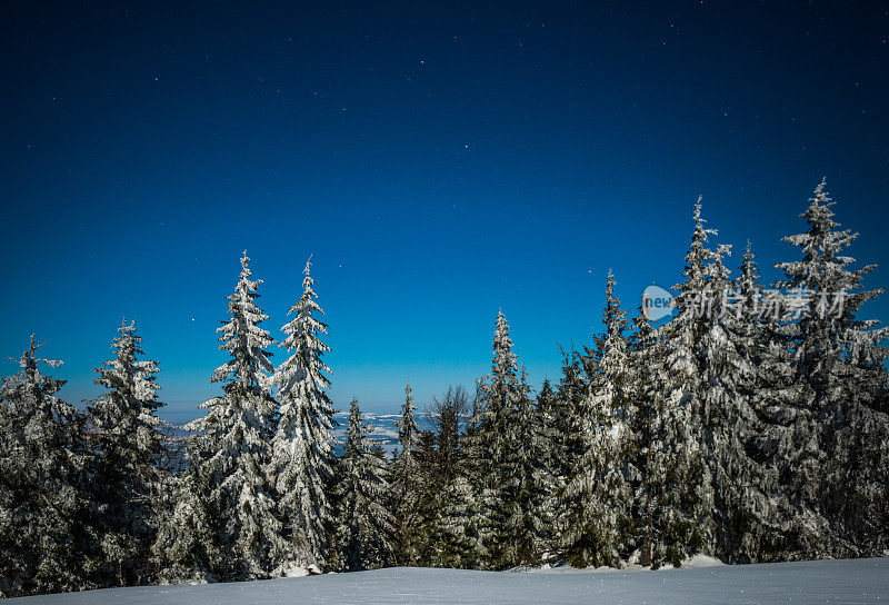 雪山里的夜星