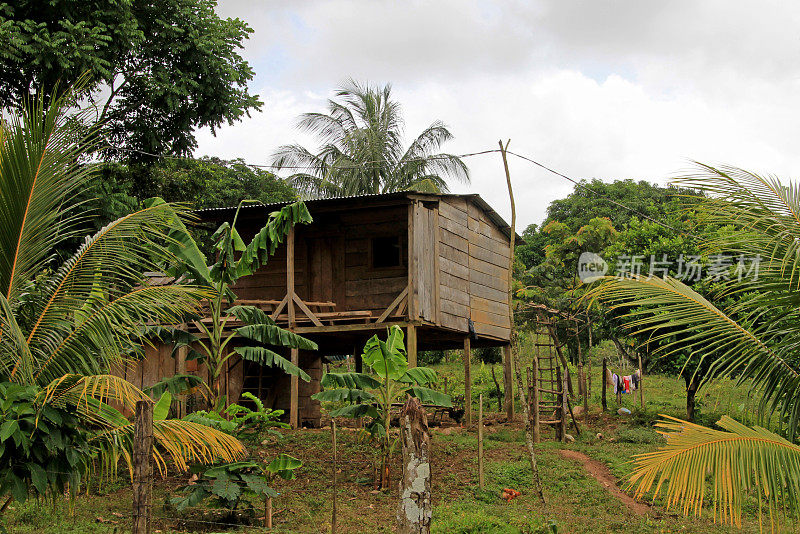 尼加拉瓜丛林里的典型房子