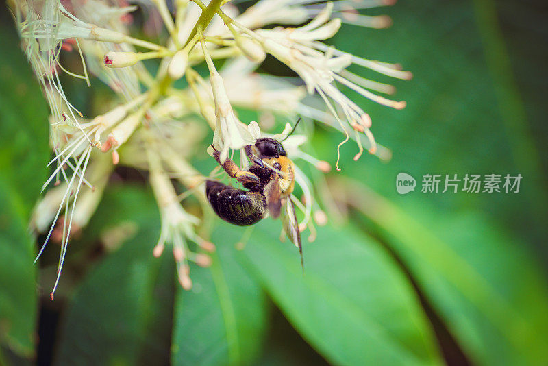 自然风景优美