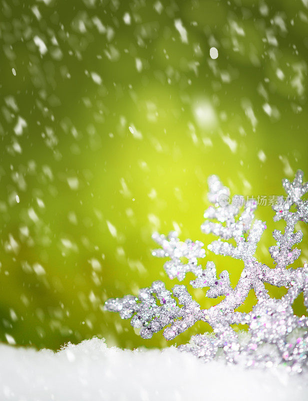 巨大的雪花点缀在雪中