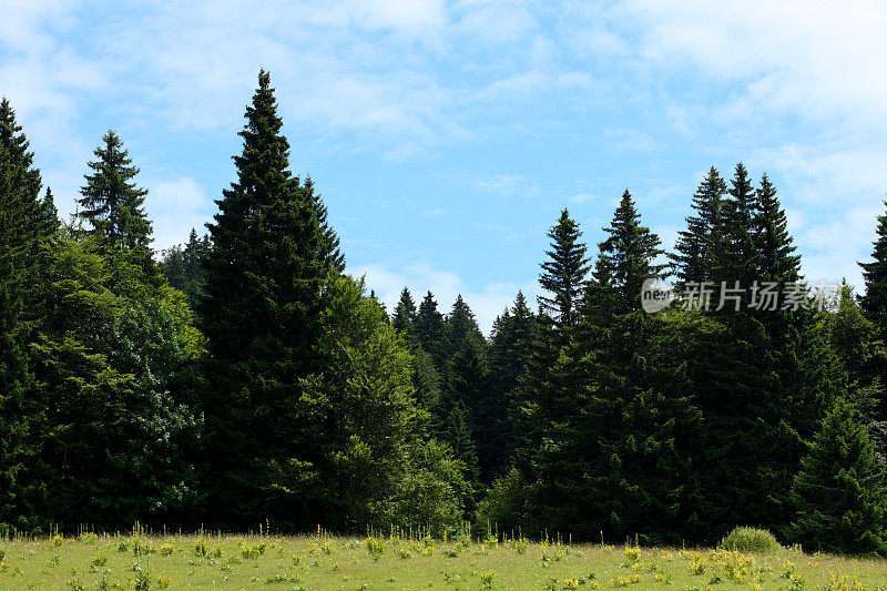 法国上侏罗夏天的风景