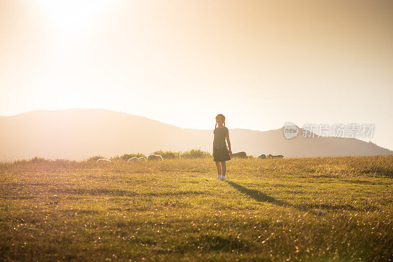 小女孩站在英格兰凯斯维克的乡村日落牧场上