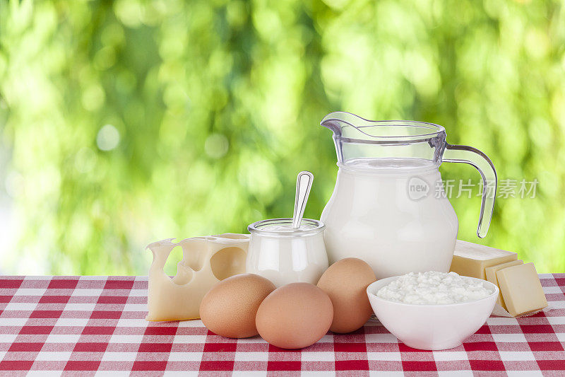 各种各样的乳制品拍摄在红白格子桌布上，在散焦的绿色茂盛的树叶