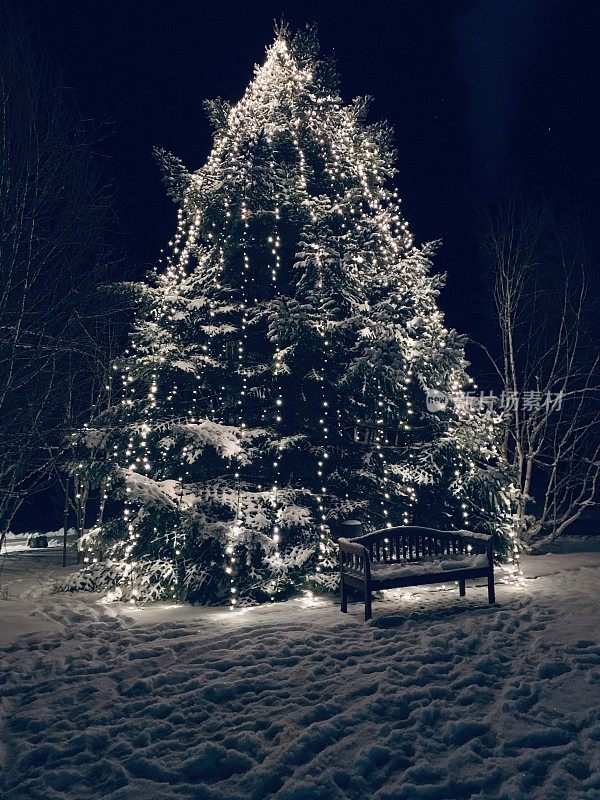 照亮了室外圣诞树的夜晚，白雪覆盖