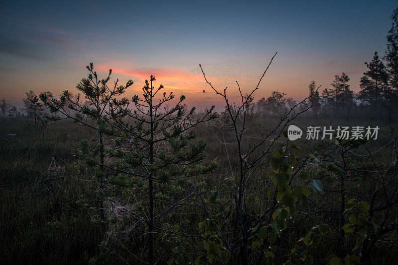 奇妙的自然景观