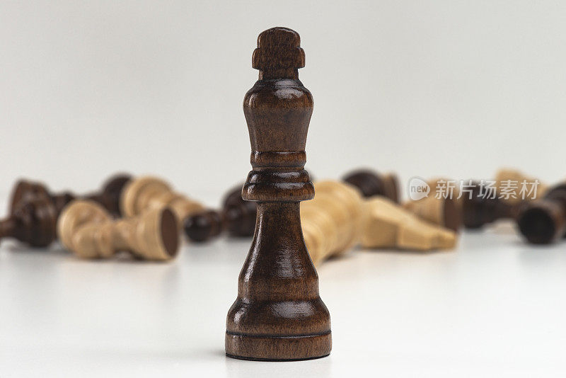 国际象棋领导概念