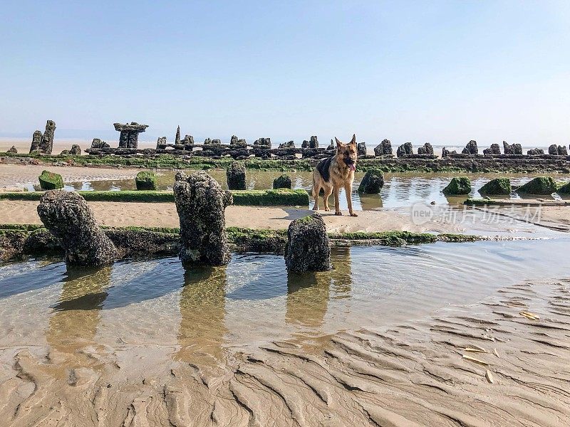 海难,在海滩