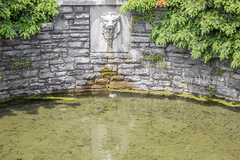 狮子头往池塘里吐水，石墙和常青树增强了这个场景