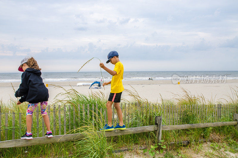 男孩和女孩在海滩上玩草