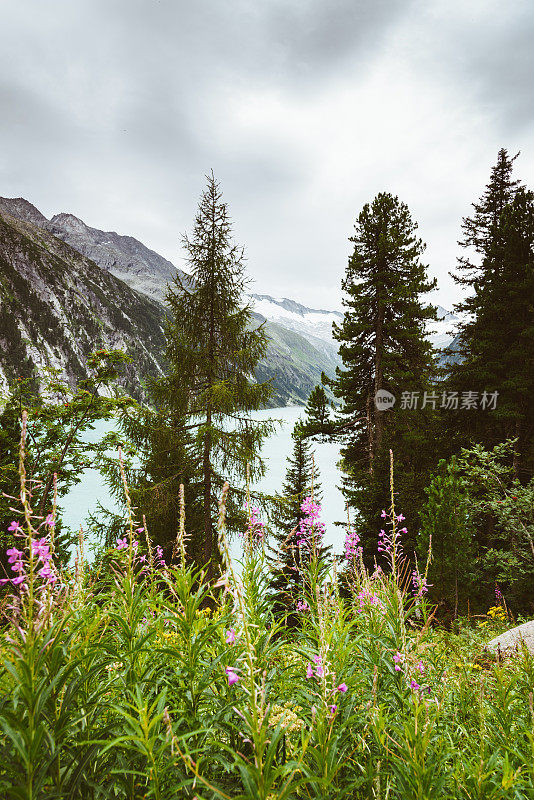 奥地利Schlegeisspeicher湖的冰川景观