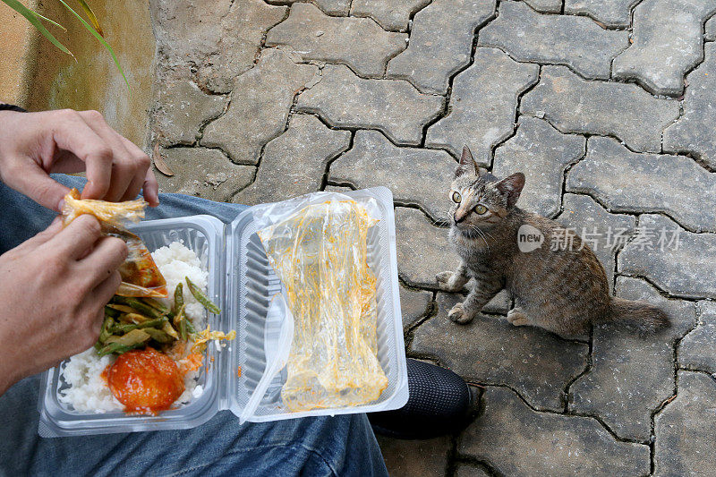 吃饭的时间到了!Meowwww……