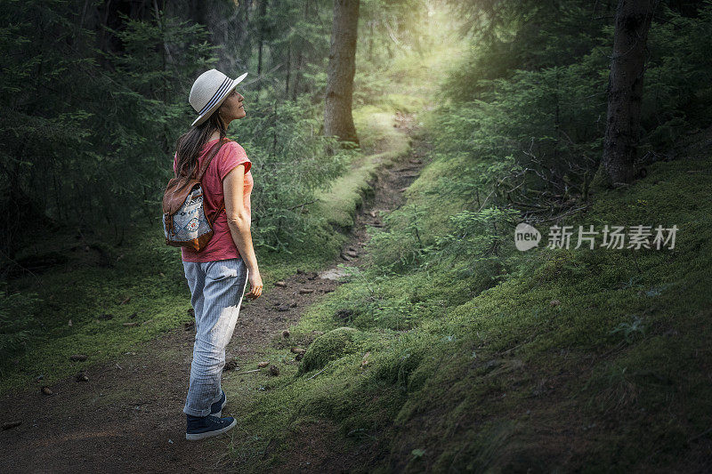 回归自然。独自在树林里行走的旅行者。一个快乐的年轻女游客漫步在大自然中。阳光明媚的日子里在森林里的户外享受。