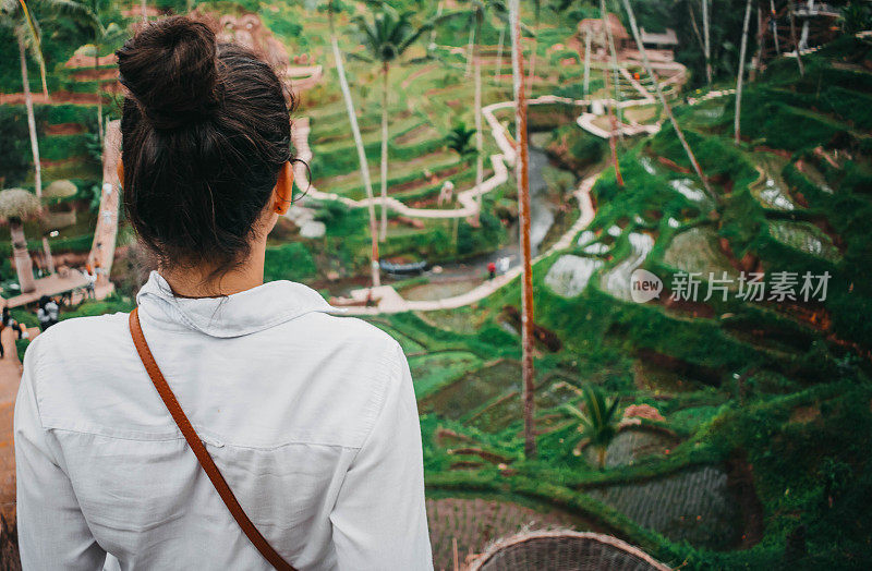 年轻女子和稻田，乌布-巴厘岛