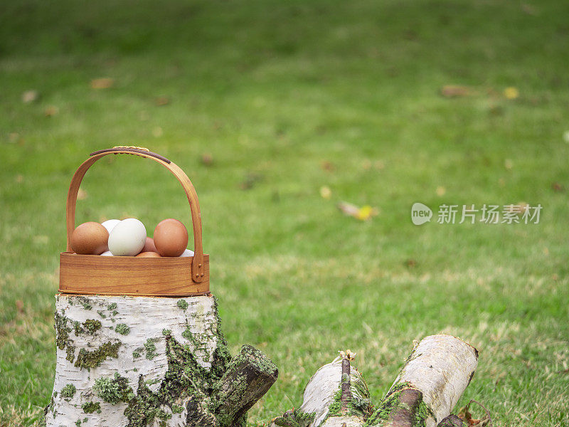 一个木篮子里装着白色和棕色的鸡蛋