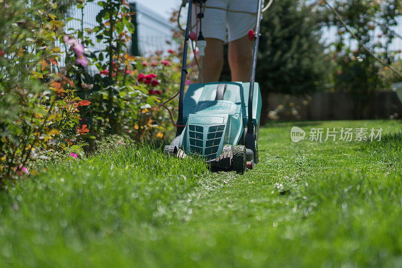 修剪草坪前院或后院的草坪