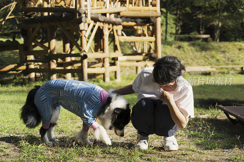 一个女人和宠物博德牧羊犬在大自然中休息