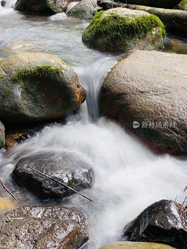 雨林溪流和巨石