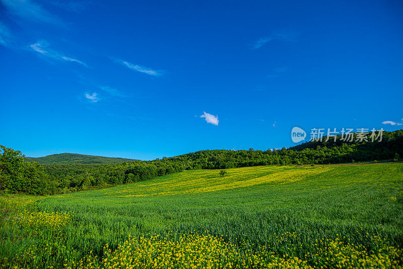 斯塔拉平原老山的绿草地