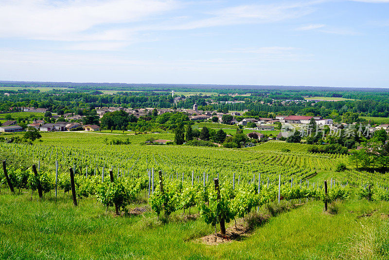 法国波尔多产区的圣爱美浓葡萄园