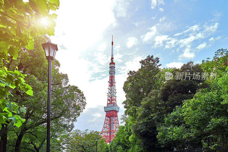 东京塔和城市街道，东京，日本