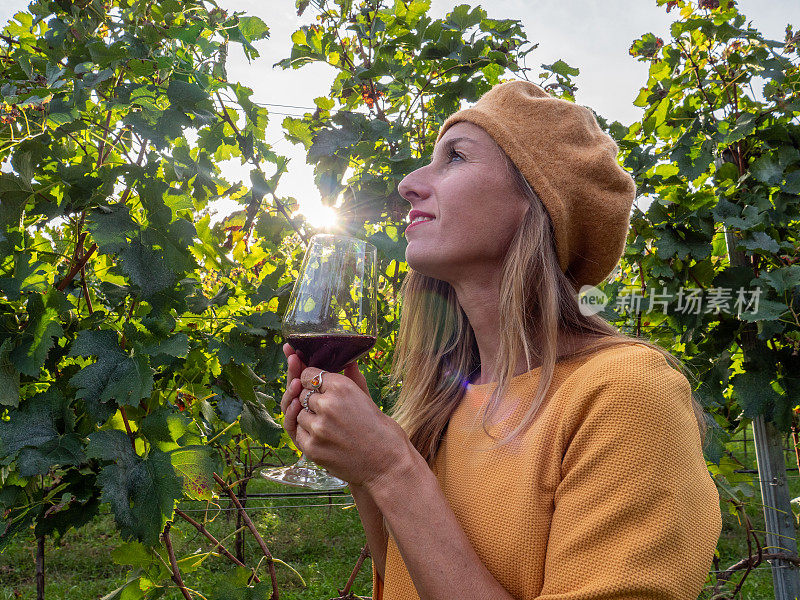 秋天，年轻女子在葡萄园品尝红酒