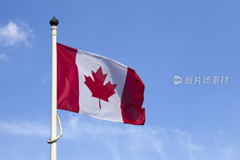 飘扬在旗杆上的加拿大国旗