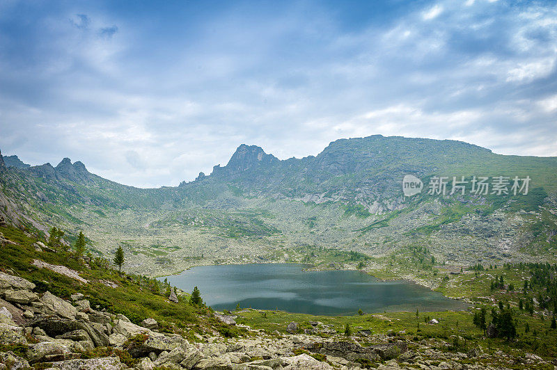 针叶林。西伯利亚。天山景湖上。