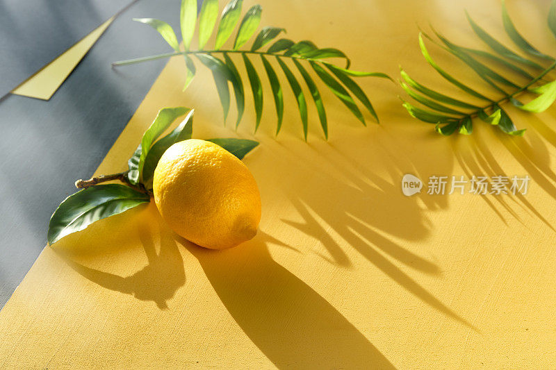 新鲜柠檬和异国棕榈叶在几何黄灰色背景。照亮黄色和终极灰色，2021年的颜色