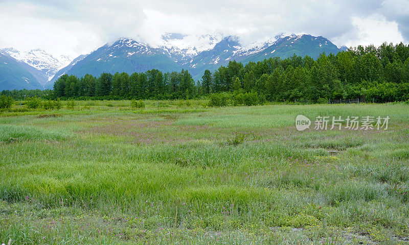 阿拉斯加的风景