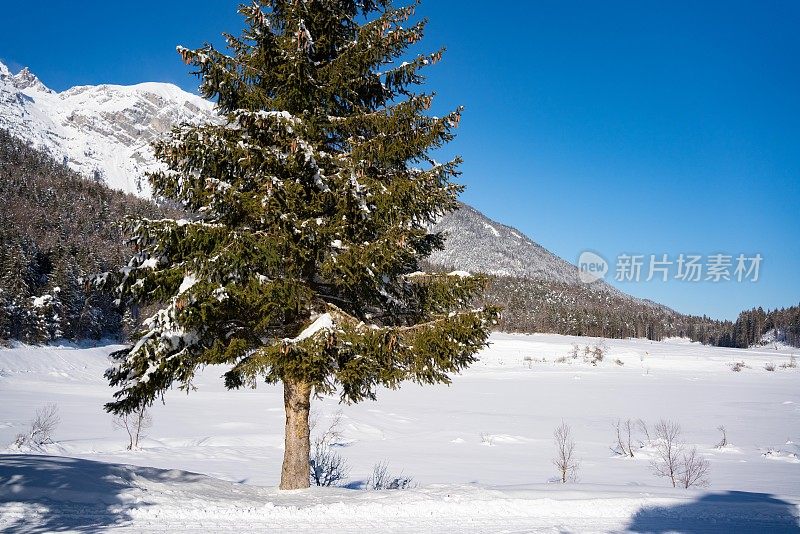 越野滑雪