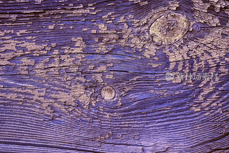 垃圾紫色木材纹理与米色磨损和内含物。天然复古纹理木材