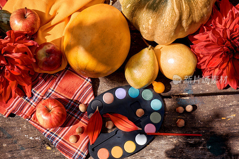 秋天平躺着:黄色的水果、蔬菜和亮色的画笔，南瓜、梨、苹果和甜瓜。秋天的静物与红色的georgine，现代的影子