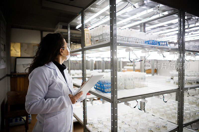 科学家在植物生长室中使用药片分析数据