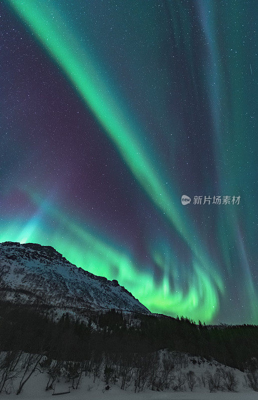 挪威罗浮敦上空冬夜的北极光