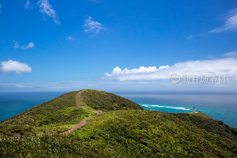 塔斯曼海和新西兰东海岸