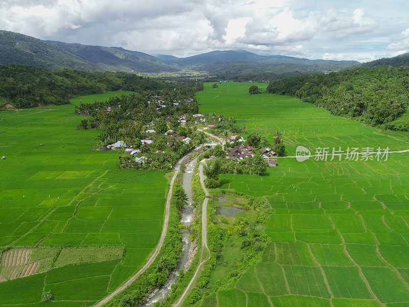 无人机拍摄的稻田在Tangse，亚齐省，苏门答腊岛，印度尼西亚